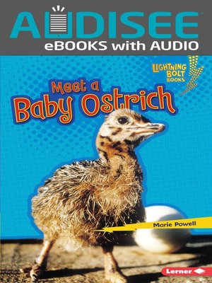 cover image of Meet a Baby Ostrich